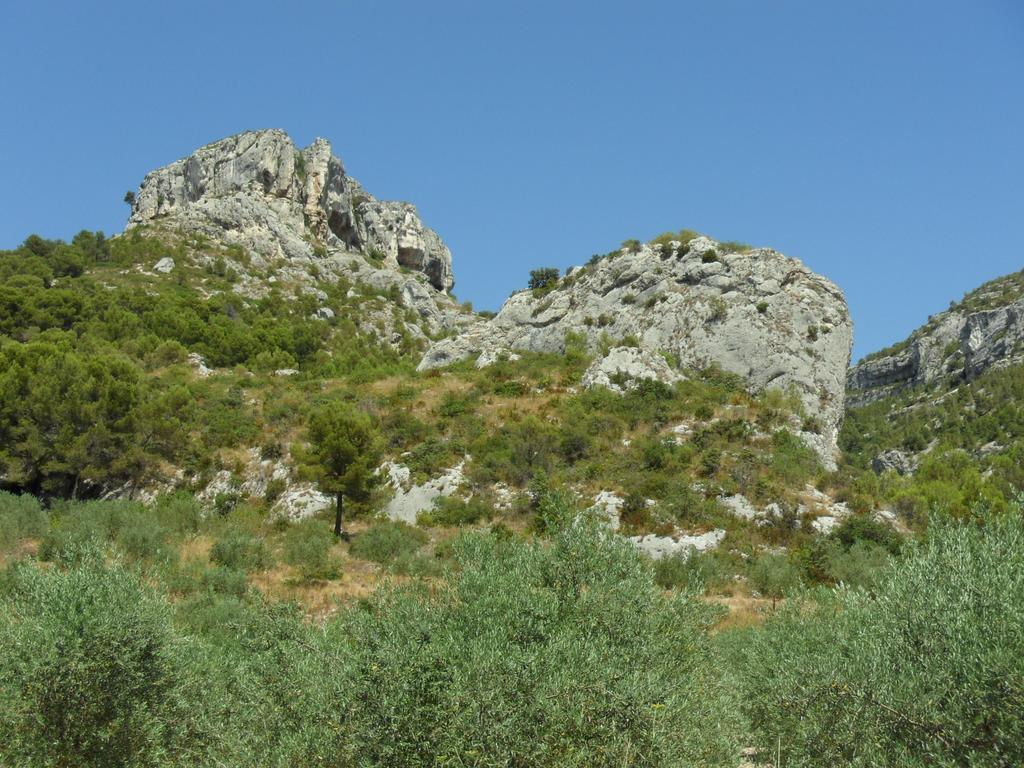 Bastide De La Lezardiere ฟงแต็น-เดอ-โวคลูซ ภายนอก รูปภาพ